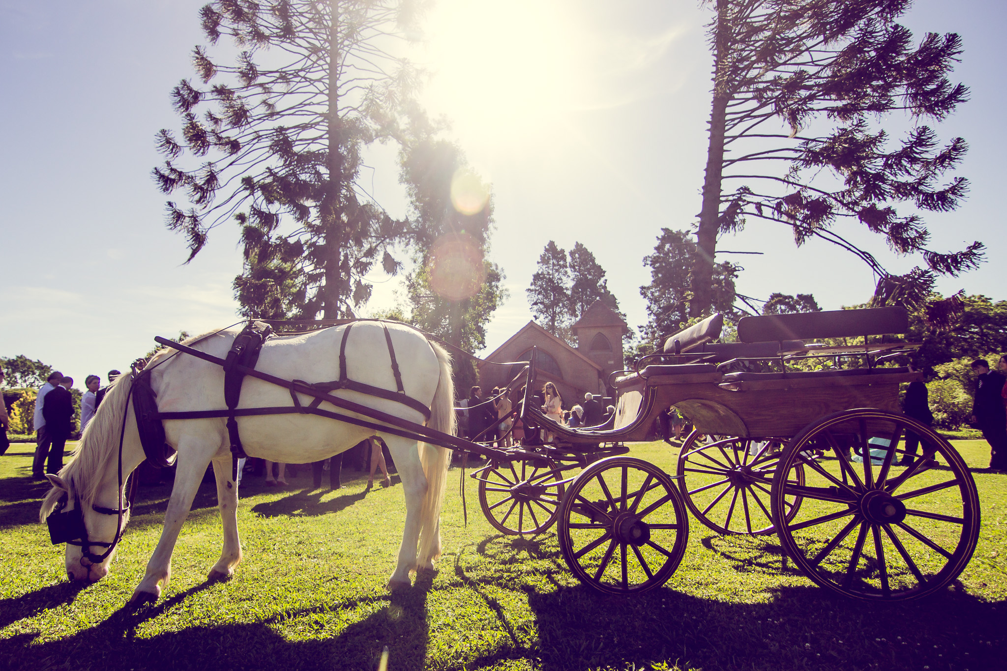 20141123 1123 casamiento luz y fer 1204